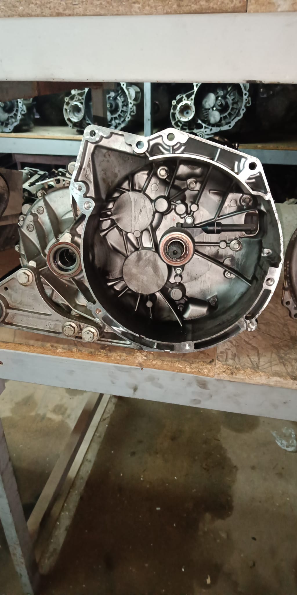 CAMBIO MARCE FOCUS 1.5 DIESEL ANNO 2019 1