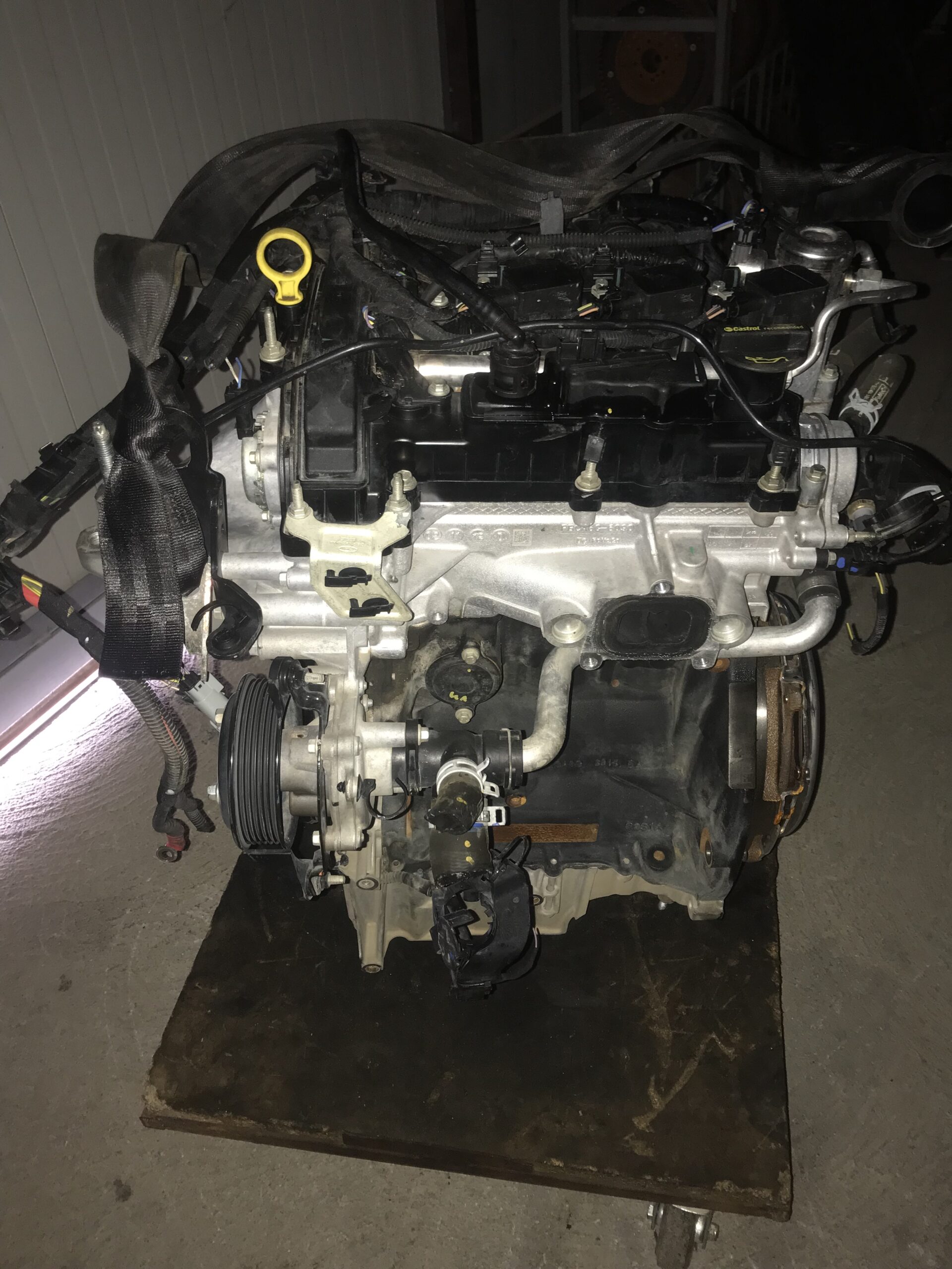 MOTORE FIESTA 1.1 BENZINA- FSJB 1